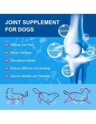 Suplemento Multivitamínico en Polvo para Perros Nature Target 90 Porciones