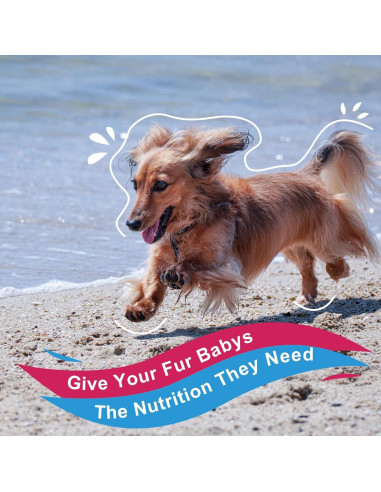 Suplemento Multivitamínico en Polvo para Perros Nature Target 90 Porciones