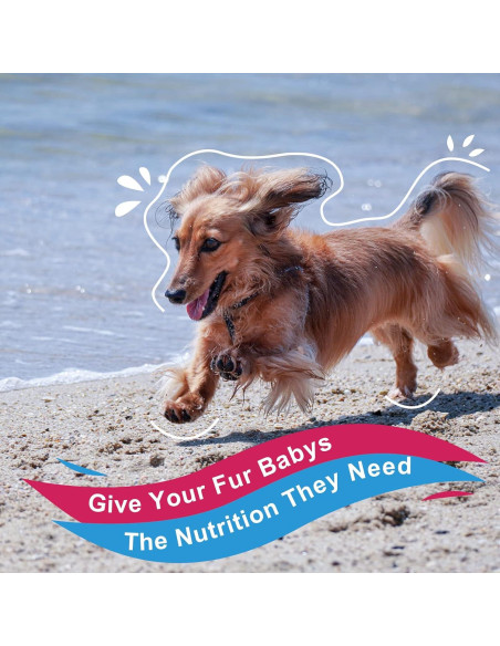 Suplemento Multivitamínico en Polvo para Perros Nature Target 90 Porciones