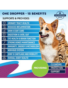 Multivitamina líquida 15 en 1 para perros y gatos 60 ml 2