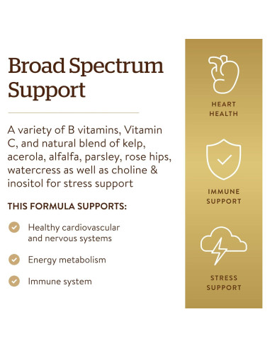 Solgar B-Complejo con Vitamina C 250 Tabletas - Energía y Estrés