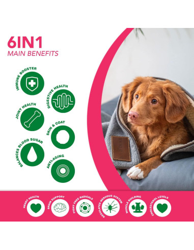 Suplemento 6 en 1 para perros RUJI Naturals - 90 masticables