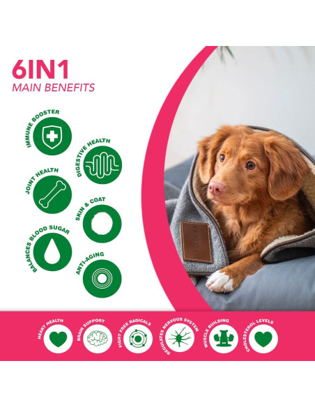 Suplemento 6 en 1 para perros RUJI Naturals - 90 masticables