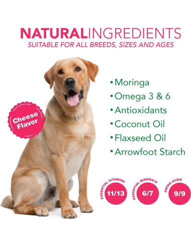 Suplemento 6 en 1 para perros RUJI Naturals - 90 masticables
