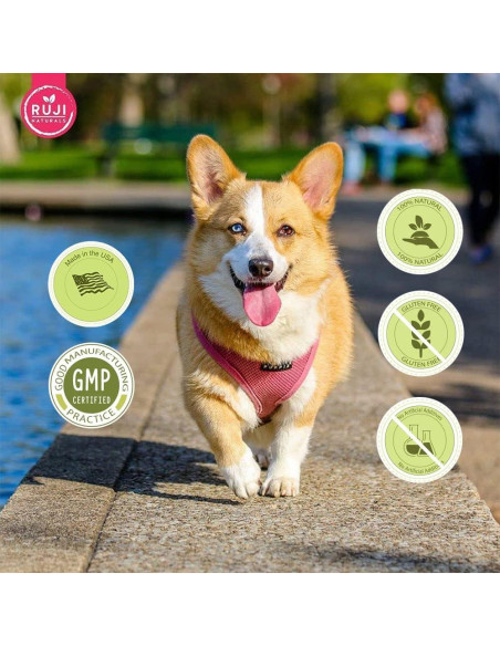 Suplemento 6 en 1 para perros RUJI Naturals - 90 masticables