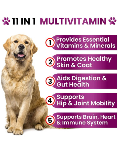 Multivitamina Masticable para Perros Grateful Pawz 255g