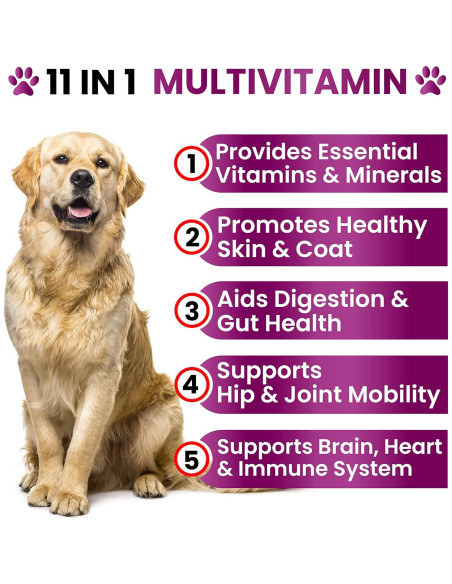 Multivitamina Masticable para Perros Grateful Pawz 255g