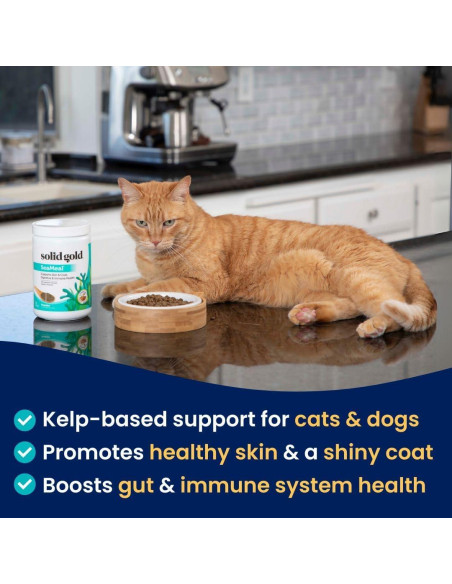 Polvo Multivitamínico Solid Gold 0.45 kg para Gatos y Perros