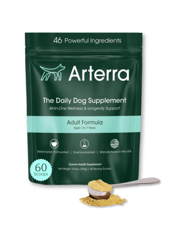 Suplemento en polvo para perros Arterra 60 cucharadas salud integral
