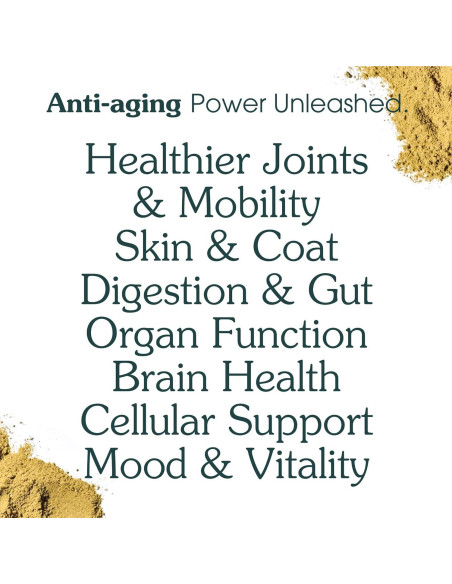 Suplemento en polvo para perros Arterra 60 cucharadas salud integral