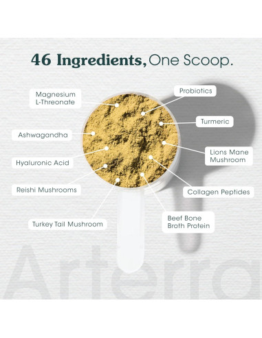 Suplemento en polvo para perros Arterra 60 cucharadas salud integral