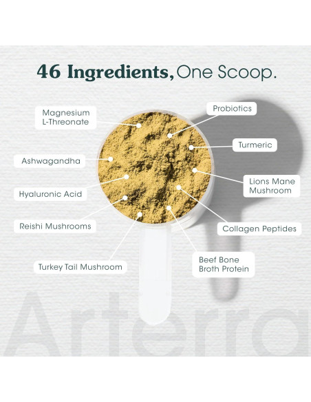 Suplemento en polvo para perros Arterra 60 cucharadas salud integral