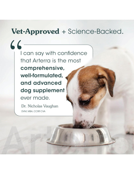 Suplemento en polvo para perros Arterra 60 cucharadas salud integral