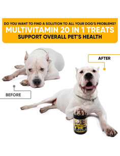 Suplemento Multivitamínico para Perros Kinpur 180 Masticables 2