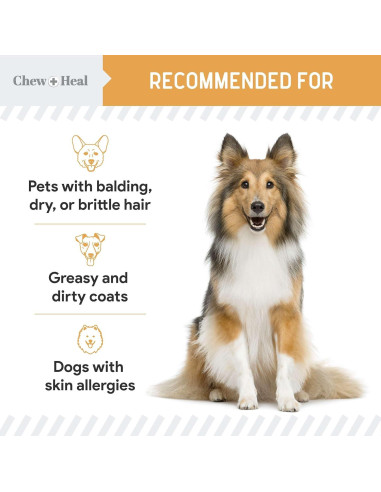 Suplemento de Aceite de Salmón para Perros Chew + Heal 180 Masticables