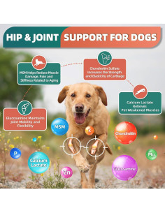 Multivitamínico Masticable para Perros DRFOSTER 120 Unidades 2