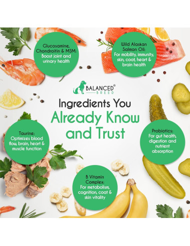 Suplemento Multivitamínico para Perros Balanced Breed 226g