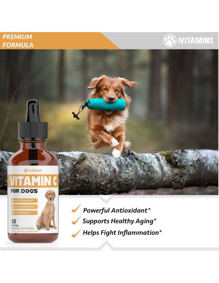 Vitamina C Líquida para Perros iVitamins 28g Sabor Tocino
