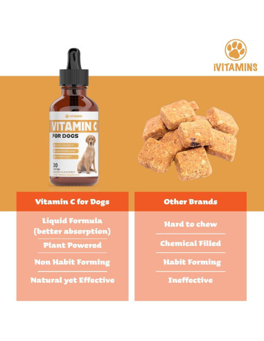 Vitamina C Líquida para Perros iVitamins 28g Sabor Tocino