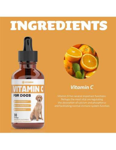 Vitamina C Líquida para Perros iVitamins 28g Sabor Tocino