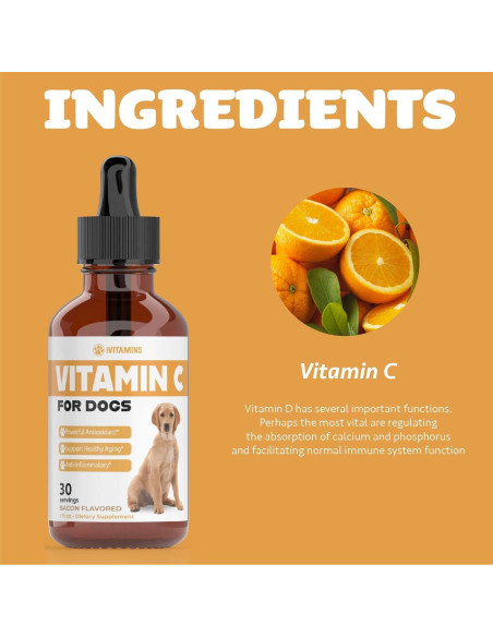 Vitamina C Líquida para Perros iVitamins 28g Sabor Tocino