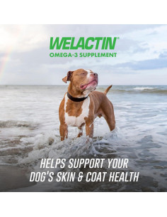 Nutramax Welactin Omega 3 para Perros - Suplemento Piel y Pelaje, 60 Masticables 2