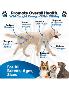 Aceite de Pescado Omega 3 Plano Paws 240 ml - Suplemento para Perros 2