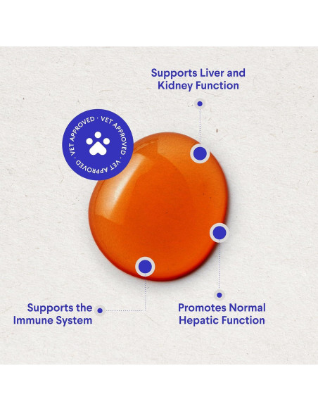 Suplemento Hepático para Perros Wonder Paws 56.7 g - Cardo Mariano