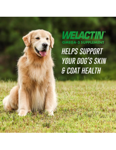 Nutramax Welactin 3 Omega-3 para Perros 120 Cápsulas Blandas 2