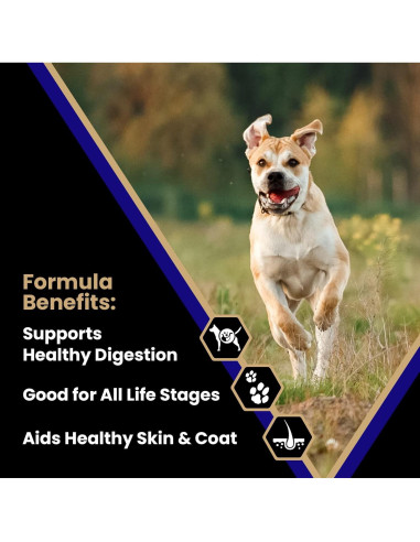 VICTOR Comida Seca para Perros 6.8 kg - Carne de Res y Arroz Integral