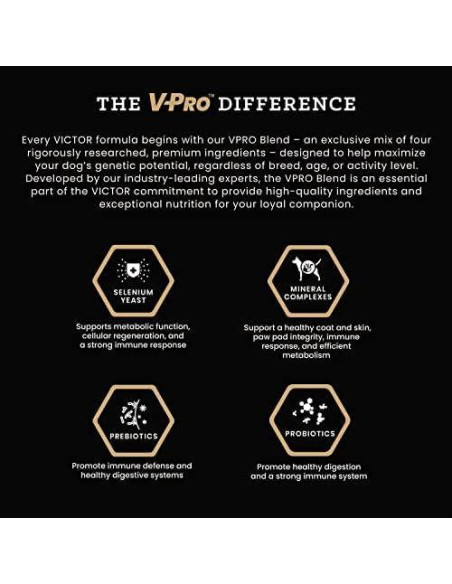 VICTOR Comida Seca para Perros 6.8 kg - Carne de Res y Arroz Integral