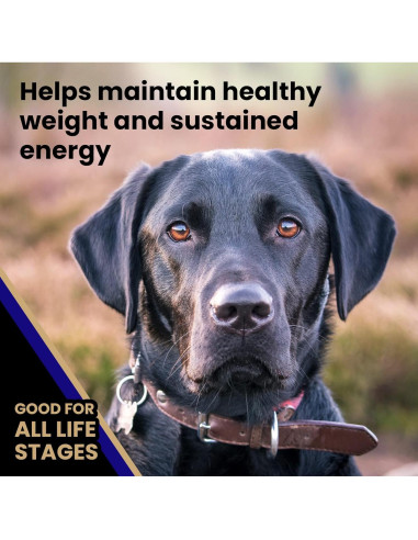 VICTOR Comida Seca para Perros 6.8 kg - Carne de Res y Arroz Integral