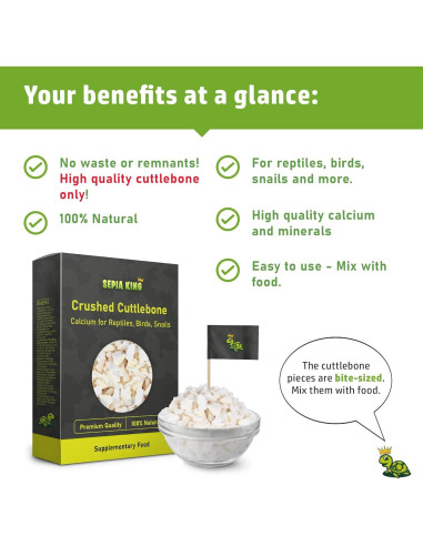 Hueso de Sepia 100% Natural Sepia King 99.22 g - Suplemento de Calcio para Aves, Tortugas y Reptiles