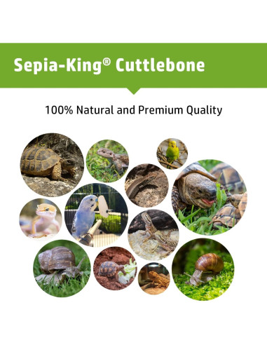 Hueso de Sepia 100% Natural Sepia King 99.22 g - Suplemento de Calcio para Aves, Tortugas y Reptiles