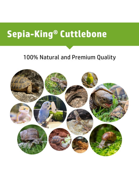 Hueso de Sepia 100% Natural Sepia King 99.22 g - Suplemento de Calcio para Aves, Tortugas y Reptiles