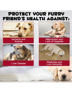 Suplemento de Hierro Líquido para Perros FSLHCY 59 ml 2