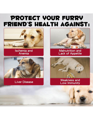 Suplemento de Hierro Líquido para Perros FSLHCY 59 ml