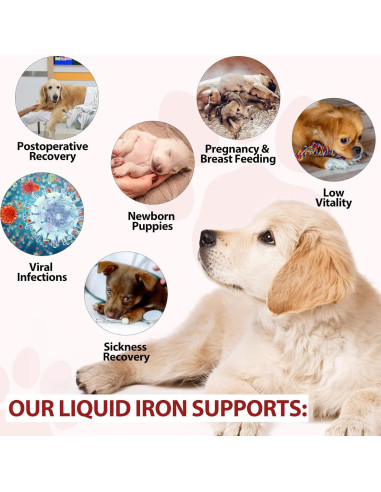 Suplemento de Hierro Líquido para Perros FSLHCY 59 ml