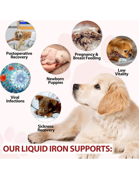 Suplemento de Hierro Líquido para Perros FSLHCY 59 ml