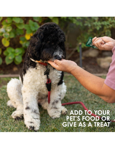 Sun Chlorella Suplemento Nutricional para Mascotas 120 Mordiscos