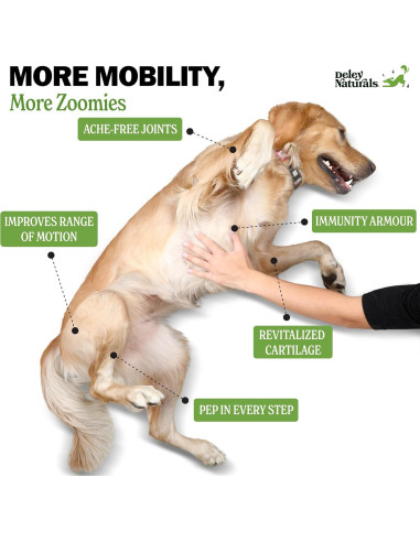 Suplemento Articular para Perros Deley Naturals - 120 Masticables con Glucosamina y Condroitina