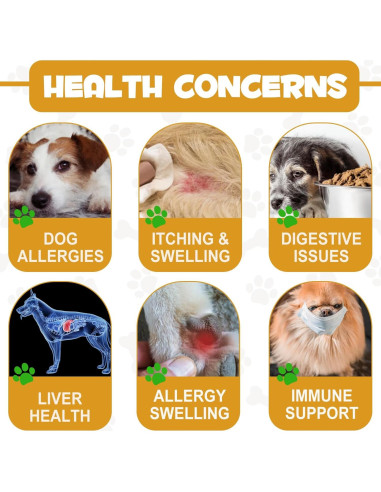 Gotas Naturales para Alergias en Perros - ARMOYA 140g