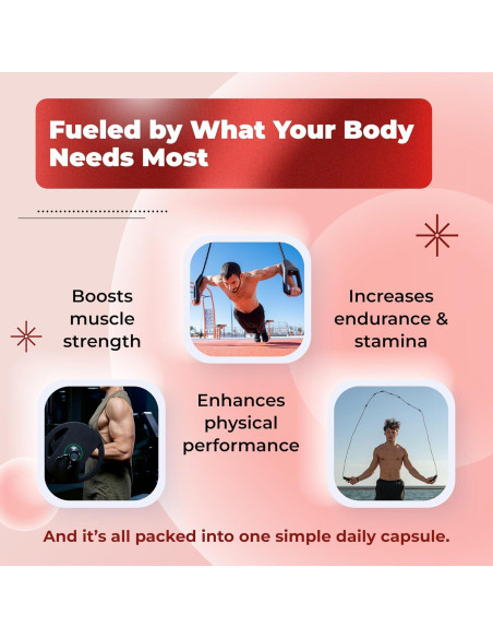 Suplemento de Turkesterona Sotalix 800mg con Raíz de Maca