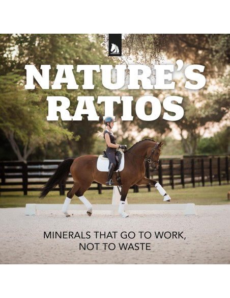 Suplemento Mineral Daily Red REDMOND para Caballos 2.27 KG