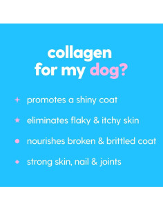 Colágeno Líquido Taily para Perros y Gatos 113g - Piel y Abrigo 2