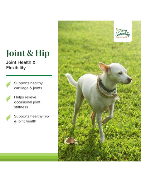 Terry Naturally Suplemento Articulaciones Perros - 60 Galletas