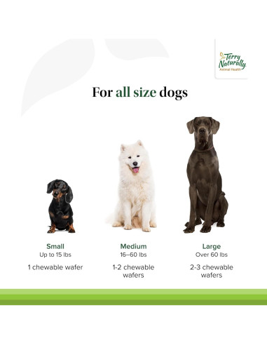 Terry Naturally Suplemento Articulaciones Perros - 60 Galletas