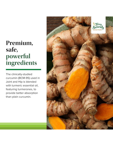 Terry Naturally Suplemento Articulaciones Perros - 60 Galletas