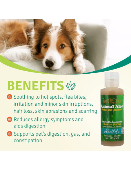Aloe Life Gel para Animales 113g - Alivio Digestivo y Piel