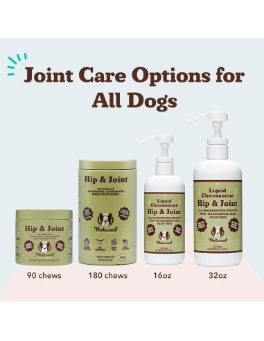 Natural Dog Company Aceite de Glucosamina 473 ml para Perros